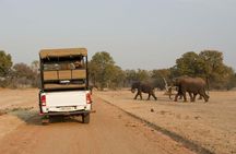 Game Drive in Mosi-Oa-Tunya National Park