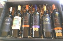 Three Day Private tour: Table Mountain, City, Cape Peninsula and Winelands
