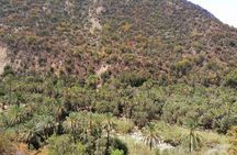 Full day Paradise valley and sandboarding (sandsurfing) with delicious lunch 