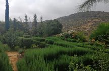 Full day Paradise valley and sandboarding (sandsurfing) with delicious lunch 
