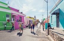 Robben Island and Table Mountain City Guided Full Day Tour
