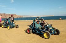 Paracas Fullday - Islas Ballestas y Nationalpark in Minibuggy