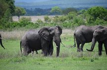 3 days safari to Mikumi and Udzungwa 