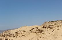 Sahara Tour : Half day trip to sahara (sand dunes ) with lunch 