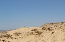 Sahara Tour : Half day trip to sahara (sand dunes ) with lunch 