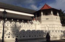 Kandy Day Tour from Colombo with Private vehicle & Chauffeur