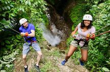 Pure Trek Rainforest & Rafting Class II & III