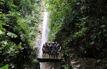 Pure Trek Rainforest & Rafting Class II & III