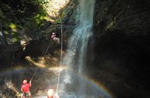 Pure Trek Rainforest & Rafting Class II & III