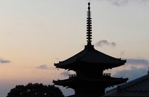 Authentic Kyoto Tea Ceremony: Camellia Flower Teahouse