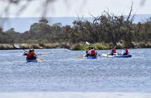Perth Kayak Tour - Canning River Wetlands 