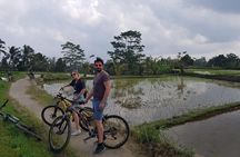 Best Kintamani - Ubud Bali Bicycle Tours