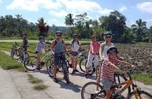 Best Kintamani - Ubud Bali Bicycle Tours