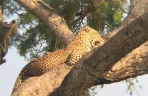 Three days escape to Queen Elizabeth National park