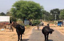 Raneh waterfall near Khajuraho (car)
