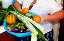 Cooking Classes in Sri Lanka