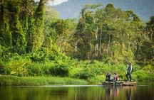 Manu Jungle Tour (4 Days)