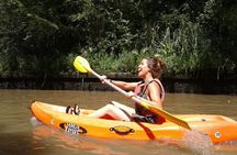 Tigre Delta Adventure: Bike, Kayak, and BBQ Tour