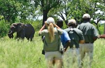 4 Days 3 Nights Victoria Falls Camping Adventure