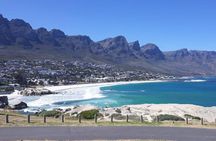 Cape Point, Boulder's Beach in Private Car Entrance Fees Included