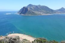Cape Point, Boulder's Beach in Private Car Entrance Fees Included