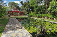 Caguas Cultural Day Trip from San Juan Including Botanical Garden and Lunch