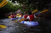 Bioluminescent Bay Kayak Adventure Tour from San Juan