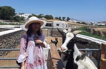 Visit the Mykonian Farm in Mykonos