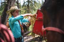 2-Day Sundance Overnight Backcountry Lodge Trip by Horseback