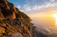 Best Cape Point/Cape of Goodhope/Penguins/Kirstenbosch 