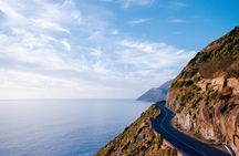 Best Cape Point/Cape of Goodhope/Penguins/Kirstenbosch 