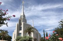 Rome: 3-hours visit of Rome Italy Temple (private cab)