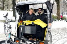 Private Central Park Guided Tour by Pedicab 