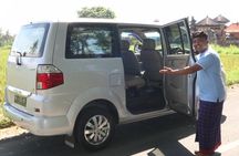 Bali Shore Excursions : Private Bali Car Rental Service