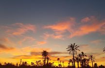 the best Camel ride exp in desert of Marrakech 