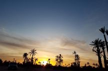 the best Camel ride exp in desert of Marrakech 