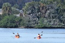 4 Hour Tandem Kayak Rental For Two People In Crystal River, Florida
