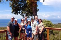 ROATAN: Zipline-Sloths-Snorkeling-City Tour Chocolate & Rum