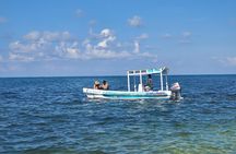 Roatan Excursion: Horseback Ride / Sloths park / Snorkel With Beach Break 