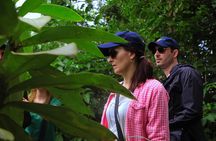 Yasuni National Park 3 days 2 nights in the Amazon of Ecuador,comfortable rooms 