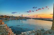 Sidon, Magdouche and Tyre