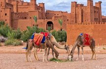 Ait ben haddou and Ouarzazate day trip from Marrakech