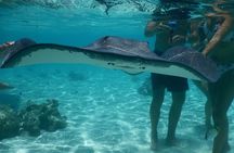 Jet-ski excursion 3 hrs Jet ski excursion to Moorea (single or two-seater)