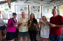 Cruise Ship Combo: Sloths, Chocolate Factory, City Tour, Beach, Private Shuttle