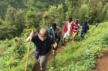 Materuni Waterfalls & Coffee Tour