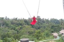 Wonderful 3 Days of Bali Private Guided Tour All Inclusive