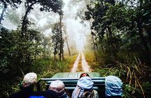 Best of Nepal Private Guided Tour