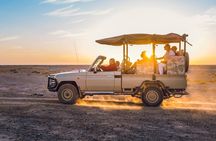 2-Day Private Tours in Jordan: Petra, Wadi Rum, and Dead Sea from Amman