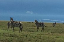 3 days Tarangire, Lake Manyara and Ngorongoro