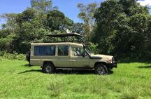3 days Tarangire, Lake Manyara and Ngorongoro